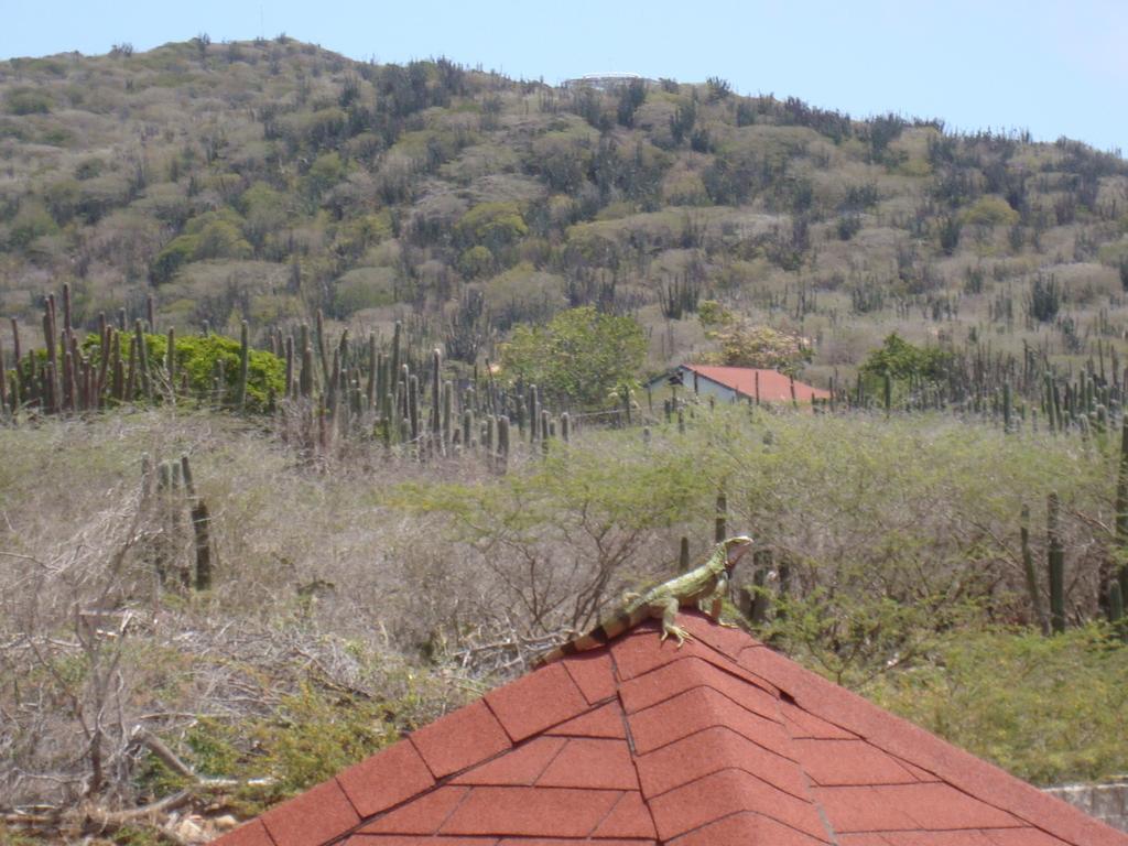 Fuego Mio Bed & Breakfast Santa Cruz Dış mekan fotoğraf
