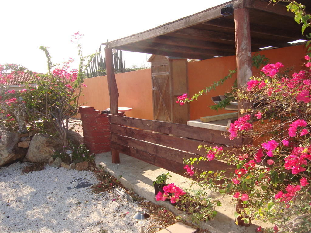 Fuego Mio Bed & Breakfast Santa Cruz Dış mekan fotoğraf