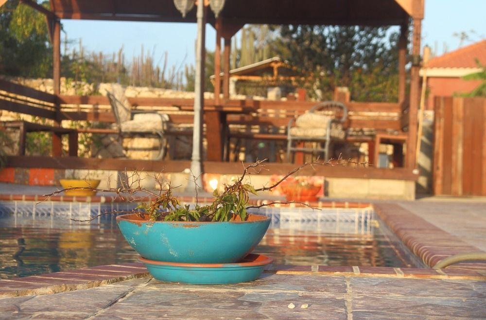 Fuego Mio Bed & Breakfast Santa Cruz Dış mekan fotoğraf