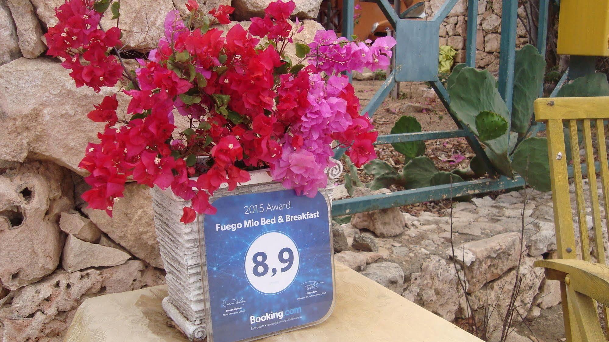 Fuego Mio Bed & Breakfast Santa Cruz Dış mekan fotoğraf