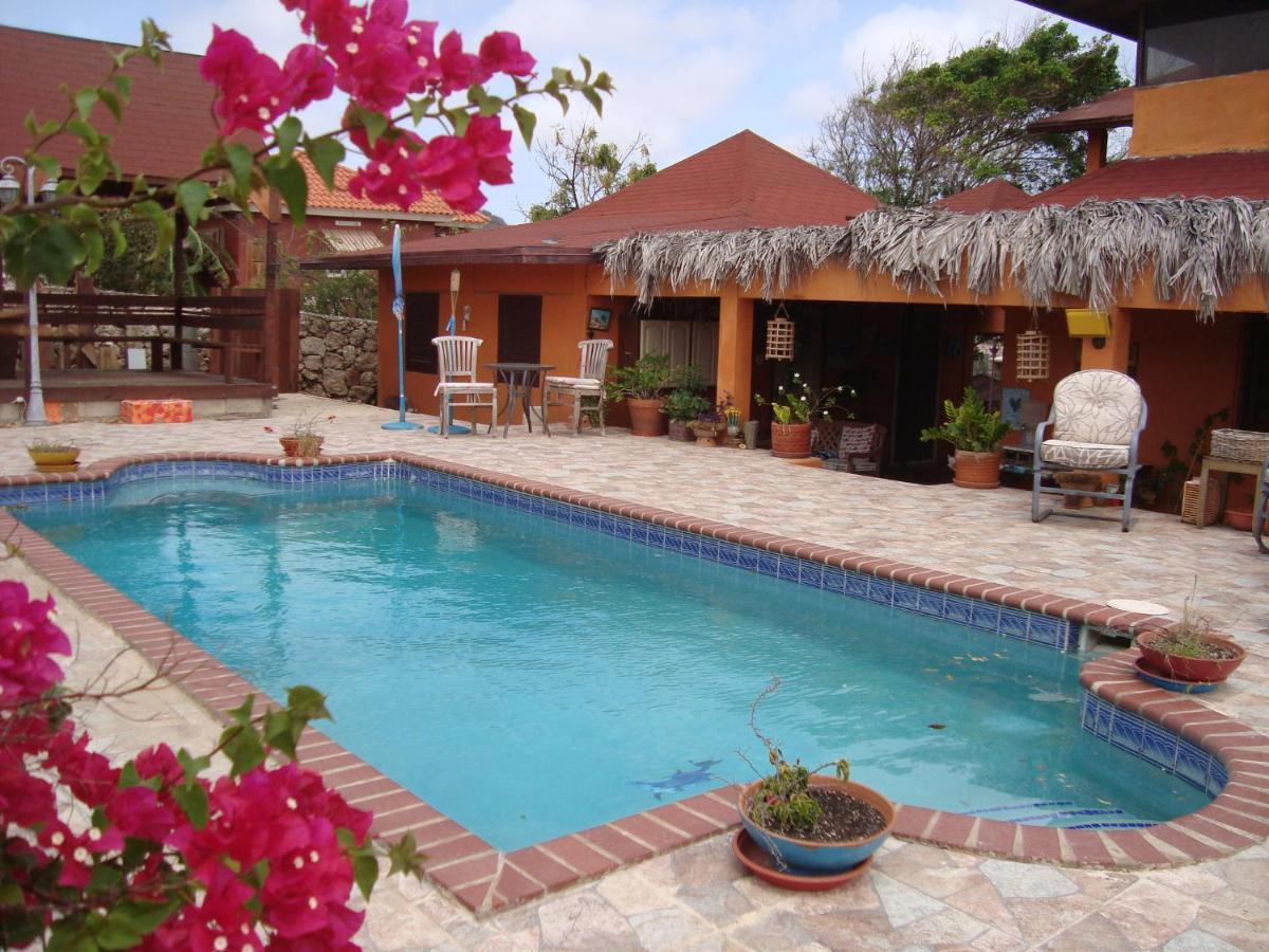 Fuego Mio Bed & Breakfast Santa Cruz Dış mekan fotoğraf